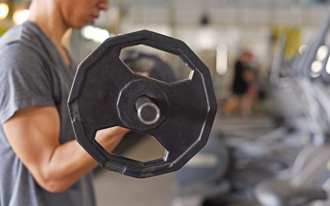 What are the major muscle groups?