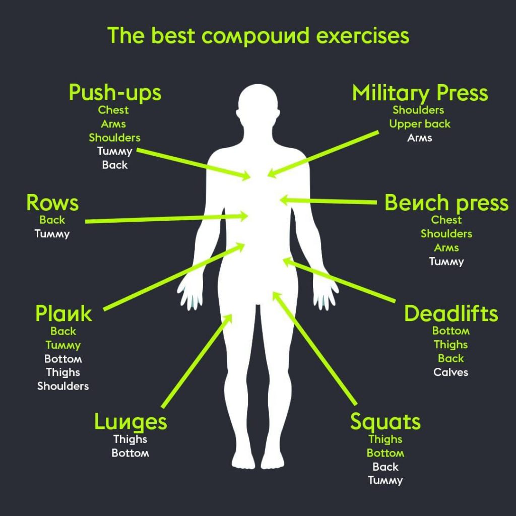 What are opposing muscle groups?