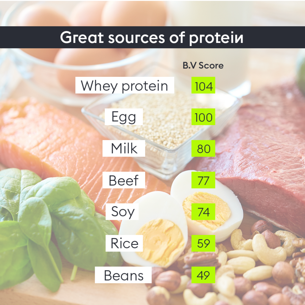 Which are the best proteins for gym workout for people over 45