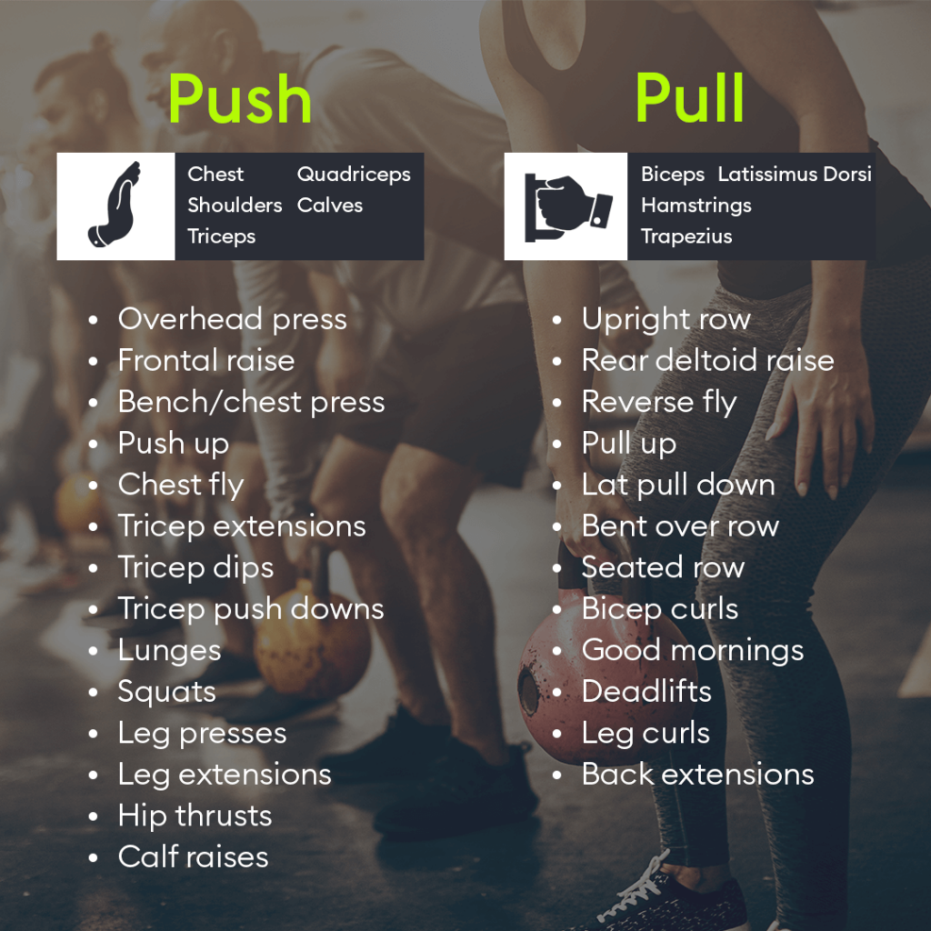 Transform Your Routine With Push Pull Workouts The Hussle Blog