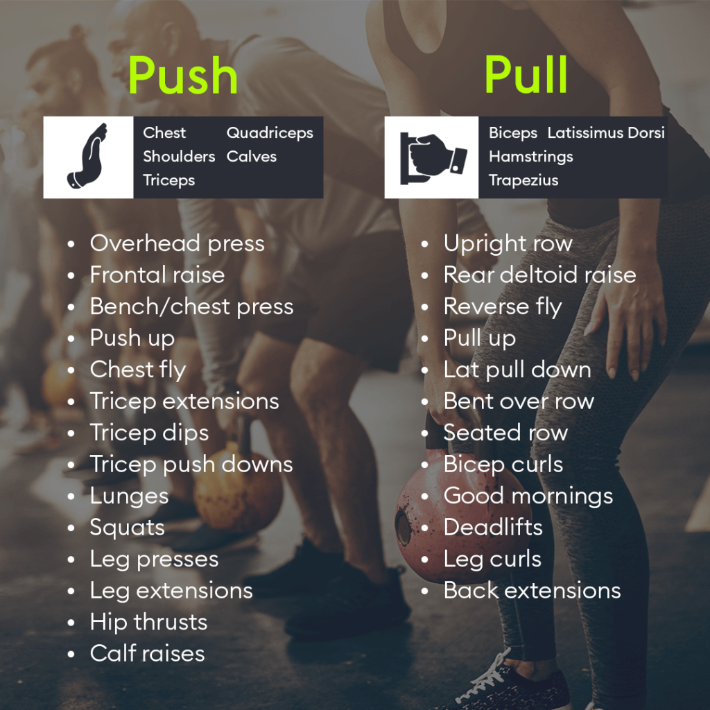 Routine With Push Pull Workouts