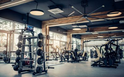 Common Gym Equipment Decoded: Part 2