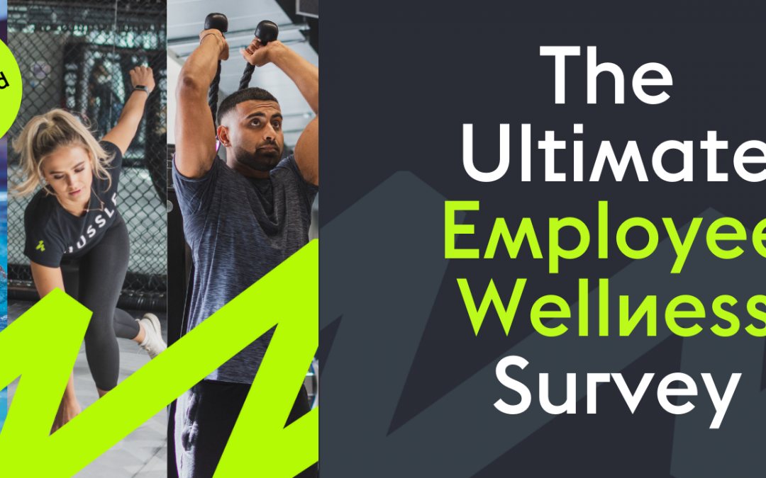The Ultimate Employee Wellness Survey 2024